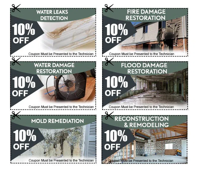 Palm Beach Restoration Expert Palm Beach, FL 561-379-1244 - coupons