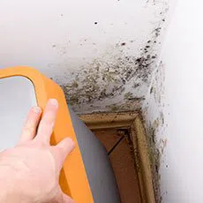 Palm Beach Restoration Expert Palm Beach, FL 561-379-1244 Palm Beach Restoration Expert Palm Beach, FL 561-379-1244 - sb-mold