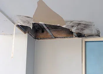 Palm Beach Restoration Expert Palm Beach, FL 561-379-1244 - water-leaks